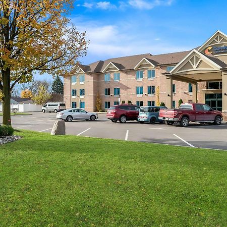Comfort Inn & Suites Taylor Extérieur photo